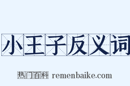 小王子反义词是什么意思的图片